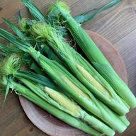 朝採り新鮮❗️皮付きヤングコーン ｜ 野菜/とうもろこし 産直アウル