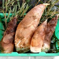 京都産 朝堀タケノコ(小サイズ)🌿3kg ｜ 野菜/たけのこ 産直アウル