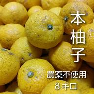 白加賀梅（青梅)3キロ／5月下旬より発送 ｜ 果物/青梅 産直アウル