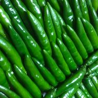 O】爽やかな薫りの激辛青唐辛子 2kg | 野菜/スパイス 産直アウル 農家