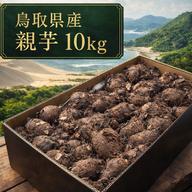 訳あり】むかご 10kg (型崩れ) 長芋 ねばりっこ とっくり芋 | 野菜