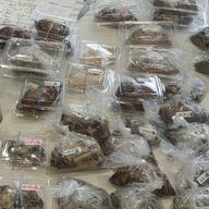 秋田県産 トンビマイタケ水煮塩蔵10㎏ 秋田県産 トンビマイタケ水煮塩蔵500g - メルカリ