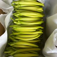 黄金金針菜（生）1kg ｜ 野菜/その他野菜 産直アウル 農家・漁師など