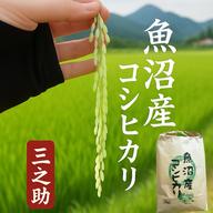 コシヒカリ 魚沼米100% 15kg 玄米 R7産 玄米 魚沼産コシヒカリ 15kg 令和7年産 ｜ 米・穀物/玄米 産直アウル