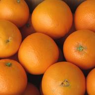 ベルガモット 1kg 国産 【A・B品混同品】 ベルガモット 果実 柑橘