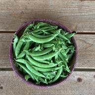農薬・化学肥料不使用 里芋（赤芽） 1kg ｜ 野菜/里いも 産直アウル