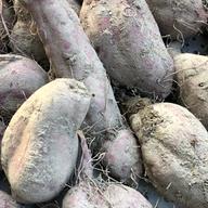 天日干し 3袋セット！ 乾燥しいたけ | 野菜/野菜の加工品 産直アウル