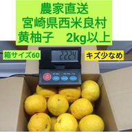 農家直送 宮崎県西米良の青ゆず キズそこそこ以下 約2kg | 果物/香酸