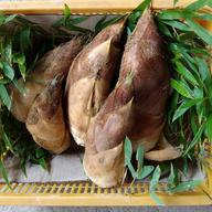 京都産 朝堀タケノコ(小サイズ)🌿2kg ｜ 野菜/たけのこ 産直アウル