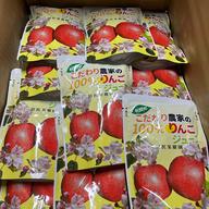 こんなに硬いの？パリパリ食感シナノゴールド上級ご家庭用 ｜ 果物