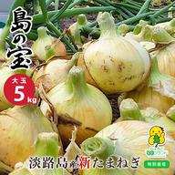 淡路島産　新たまねぎ　20kg 淡路特産玉ねぎ　M〜2Lサイズ混同　˃̶͈̀ロ˂̶͈́)⁾⁾ 大玉20kg】 新たまねぎ 淡路島産 特別栽培 兵庫県認証食品 レシピ付き