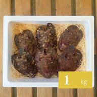 激レアな特大セミエビ！1匹で1.5キロ！ ｜ 魚介類/エビ 産直アウル