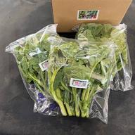 ☆有機JAS認証☆おまかせ野菜セット☆100サイズ箱詰め ｜ 野菜/野菜