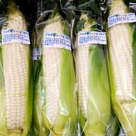 食品 かねなな様専用 大和ルージュ5キロ