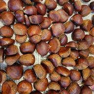 ぽろたん栗 | 果物/栗 産直アウル 農家から直接野菜などの食材を購入