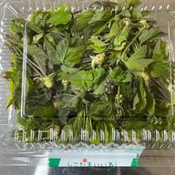 飲食店様用 ラージサイズタラの芽 2キロ ｜ 野菜/山菜 産直アウル 農家