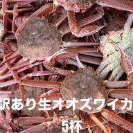 北海道産天然ギョウジャニンニク(冷凍) ｜ 野菜/山菜 産直アウル 農家