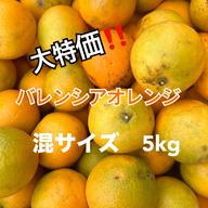 和歌山県産【有田みかん】5kg×②箱 みかんの本場よりお届けします 
