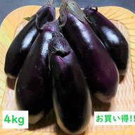 希少性が高い紫つくね芋♪ 1kg ｜ 野菜/長いも・山いも 産直アウル