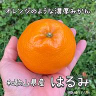 はるみ 秀品 Mサイズ 約10kg ｜ 果物/オレンジ・その他みかん 産直