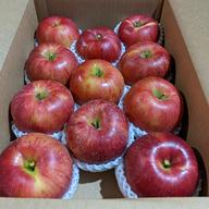 熟成進む[サンふじ]2Lサイズ大玉14個入 年明けリンゴは秋田県横手市産