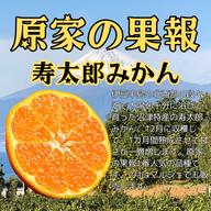 柑橘の女王「せとか」※数量限定10の予約販売のみです。 ｜ 果物