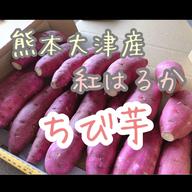 【つーちゃん】紅はるか 熊本県産L サイズ20kg さつまいも 紅はるか 約2キロ 2S,3Sサイズのみ | 野菜/さつまいも 産直