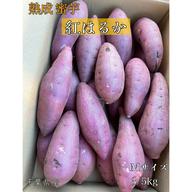 アウルの日】蜜芋はるか A品 20kg 千葉県産 農家直送Mサイズ ｜ 野菜