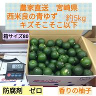 宮崎県 西米良の青柚子 キズ少なめ 約10kg | 果物/香酸柑橘(ライム