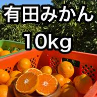 大特価！！紀州南高梅.10kg.訳あり品.農家直送 ｜ 果物/青梅 産直