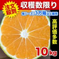 10kg×2箱届く【限定数】超特価！不知火 しらぬい 20kg デコポン みかん