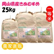 2026年 岡山県産 きぬむすめ 24kg 玄米 ｜ 米・穀物/玄米 産直アウル
