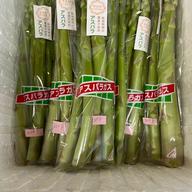 祝日もお買い得！送料込！】アスパラガス600g（200g×3袋）：化学肥料