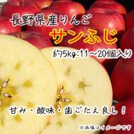 贈答用】サンふじ 約5kg（11～18個）長野県産りんご 【お歳暮】等に
