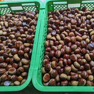 山鹿和栗Lサイズ 箱込み約2キロ | 果物/栗 産直アウル 農家から直接