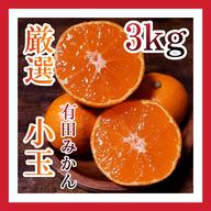 10kg(箱込み) 】 厳選絶品 小玉 有田みかん | 果物/温州みかん 産直