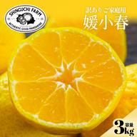 希少柑橘】媛小春 5kg『黄色いのに驚きの甘さ』【流通量の少ないレア