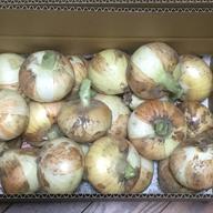 10キロ/農薬化学肥料不使用／淡路島新玉ねぎ/固定種 ｜ 野菜/玉ねぎ