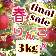 春りんご☆サンふじ30キロ☆長野地元民が春になったら食べるりんご☆スッキリな甘み 春りんご】信州産サンふじ約4.8kg ｜ 果物/りんご 産直アウル 農家