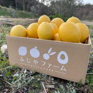 大崎上島　瀬戸内不知火(デコポン)農薬不使用　B品　10キロ のんちゃん 広島瀬戸内・大崎上島産(農薬不使用)不知火(デコポン)5Kg | デコみかん