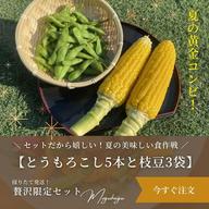 旬】掘りたて直送！生たけのこ 箱込み5kg（ぬか付き！） ｜ 野菜