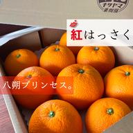 紅八朔　はるみ　2種15kg箱 はっさく & 紅はっさく 食べ比べ2箱セット Lサイズ以上 各種8〜11玉