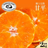 愛媛県産!! 新品種☆ 愛果48号 甘平 5キロ×2箱 農家直送 愛果48号 みかん 箱買い 家庭用 愛媛県産 約2kg 紅プリンセス 同等品