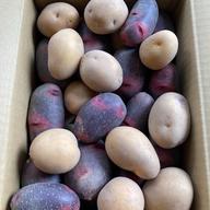 無農薬無化学肥料 今が旬 新じゃがインカのめざめ＆カラフルじゃがいも