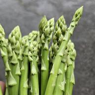訳あり1.2キロ！1日数量限定‼️特別栽培のアスパラガス ｜ 野菜