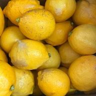 有機栽培 ベルガモット 果実 黄緑色 3キロ 送料無料 有機栽培