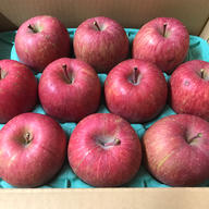 わけあり品】青森県産りんご「トキ」加工・ジュース用 色薄・大キズ