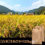 きぬひかり【玄米】 20kg 令和7年産 京都府京丹波町産 ｜ 米・穀物