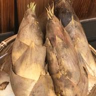 京都府木津川市山城産のたけのこ6kg ｜ 野菜/その他野菜 産直アウル