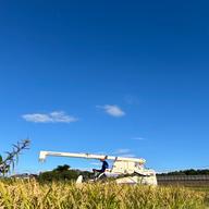 20kg白米送料無料!キヌヒカリ 滋賀県産 令和7年度収穫 ｜ 米・穀物/米